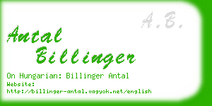 antal billinger business card